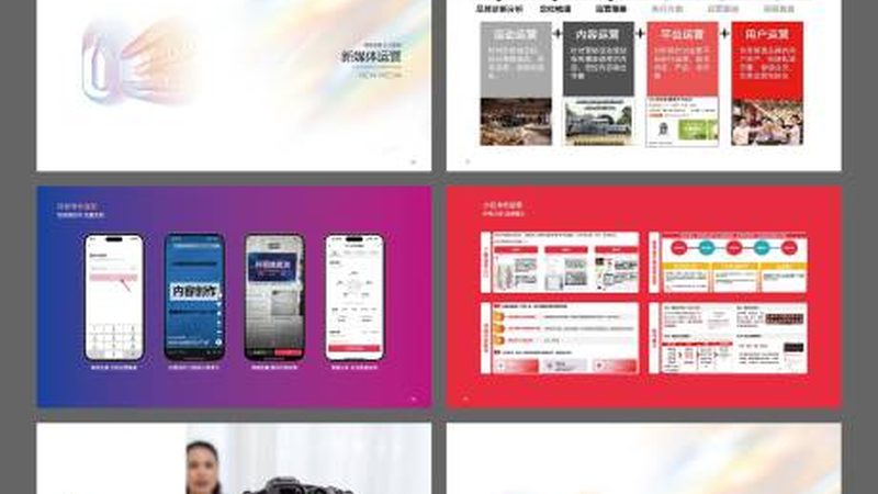 品牌之眼：Logo设计流程解析与选择标准揭秘